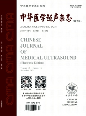 中华医学超声杂志(电子版)封面